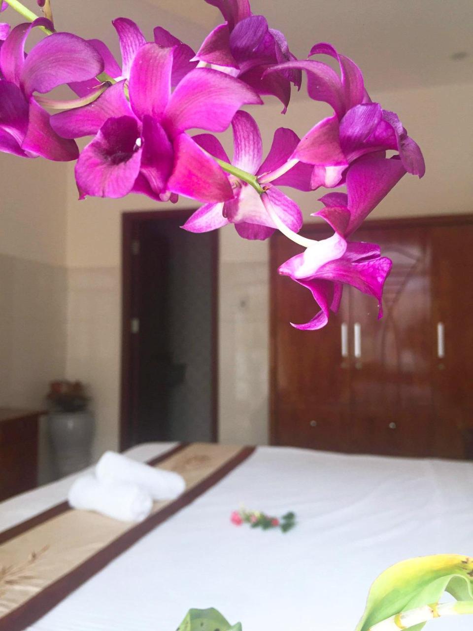 Holy Land Homestay Hoi An Zewnętrze zdjęcie